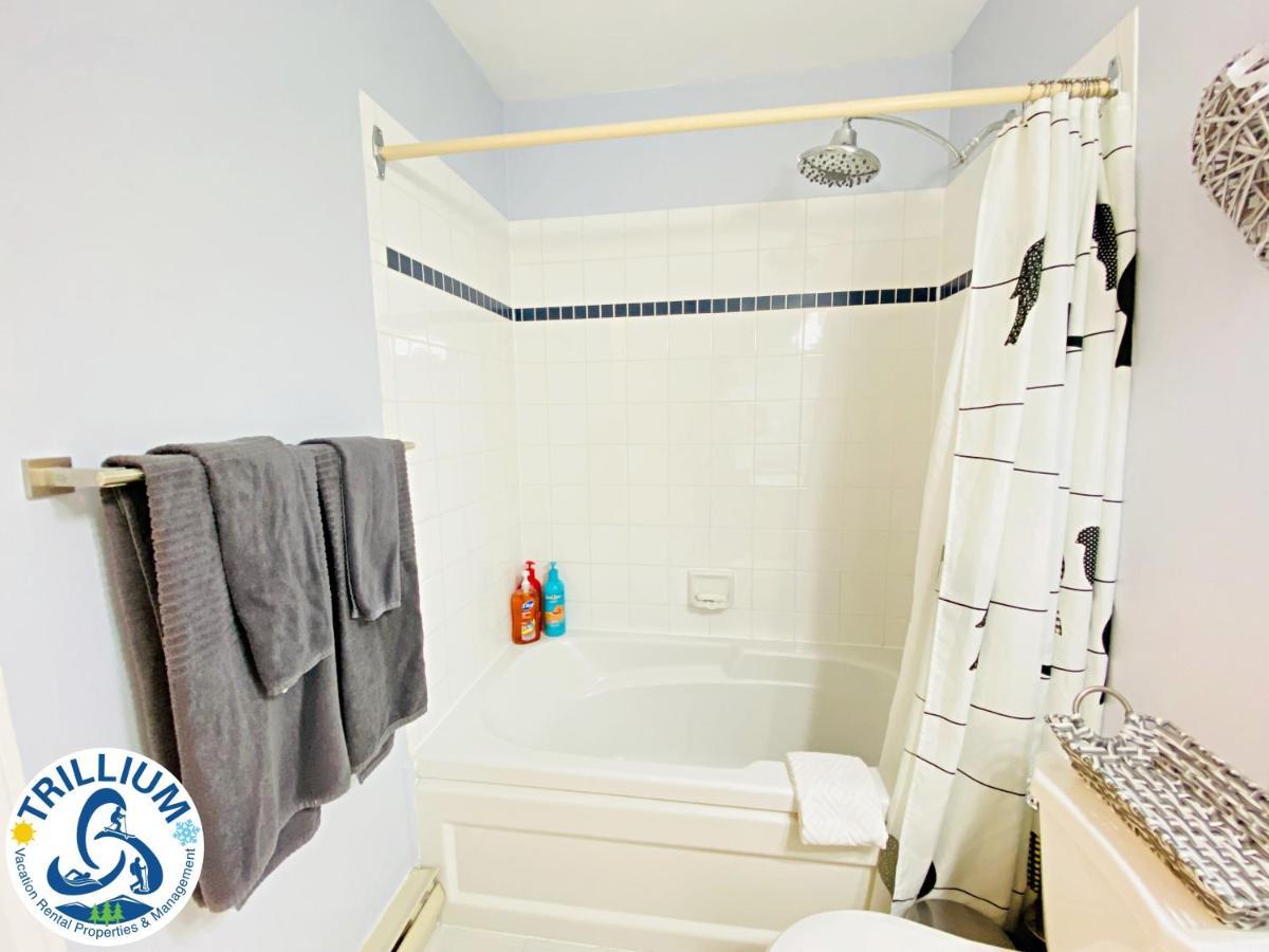 Cozy Studio Loft With 2 Baths Next To Slopes Блу-Маунтінс Екстер'єр фото