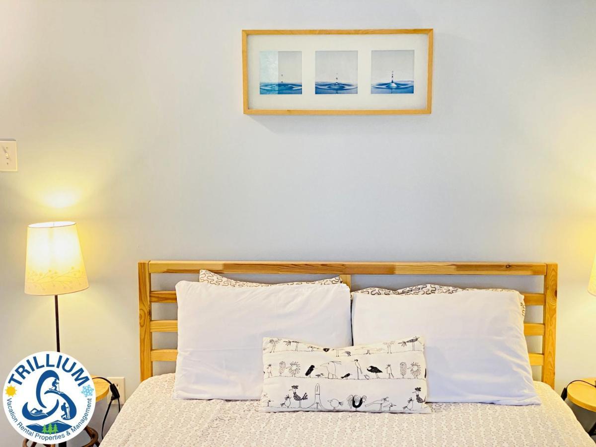 Cozy Studio Loft With 2 Baths Next To Slopes Блу-Маунтінс Екстер'єр фото