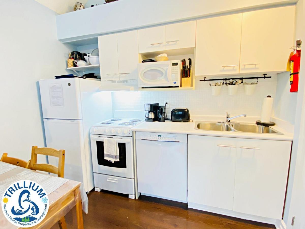 Cozy Studio Loft With 2 Baths Next To Slopes Блу-Маунтінс Екстер'єр фото